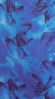 Barzilio Dress - Blue